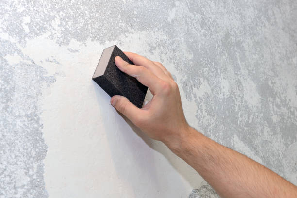 Best Black Mold Removal  in Berry Hill, TN