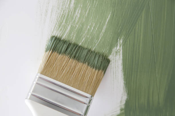 Reliable Berry Hill, TN Mold Removal Solutions