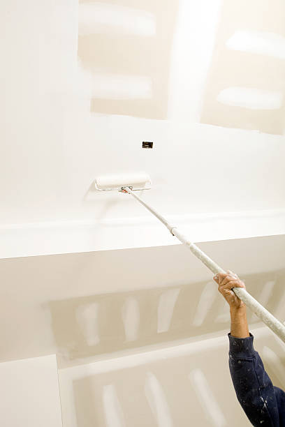Mold Documentation for Insurance Claims in Berry Hill, TN